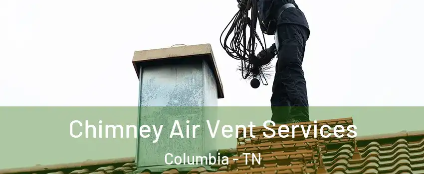  Chimney Air Vent Services Columbia - TN