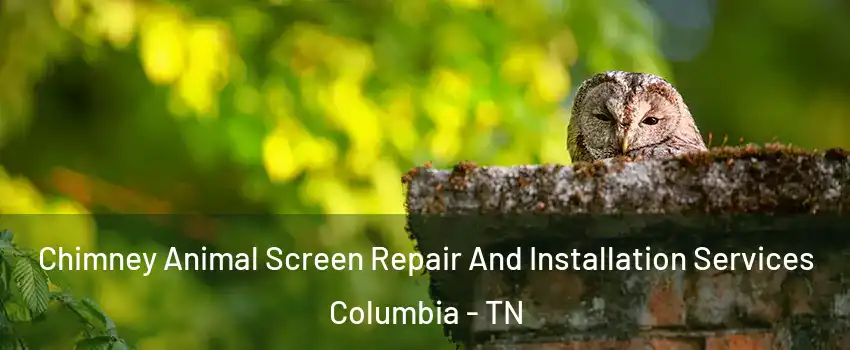  Chimney Animal Screen Repair And Installation Services Columbia - TN