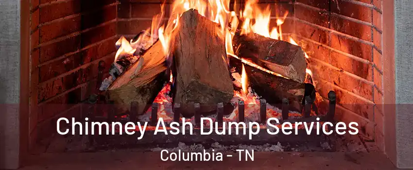  Chimney Ash Dump Services Columbia - TN