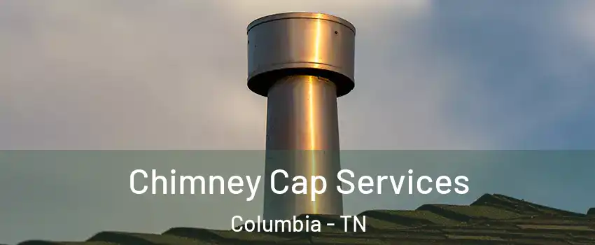  Chimney Cap Services Columbia - TN