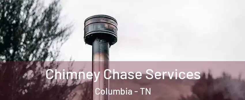  Chimney Chase Services Columbia - TN