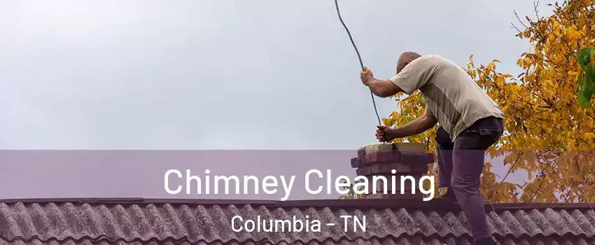  Chimney Cleaning Columbia - TN