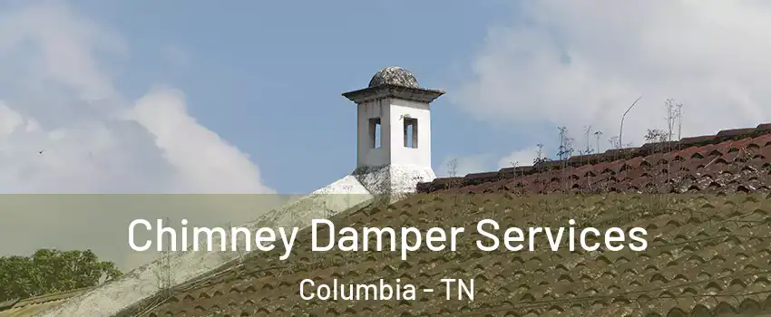  Chimney Damper Services Columbia - TN