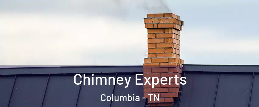 Chimney Experts Columbia - TN