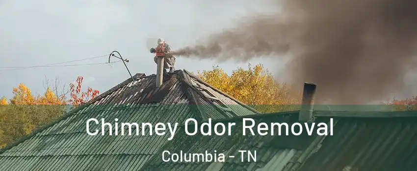  Chimney Odor Removal Columbia - TN