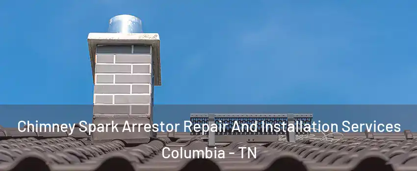  Chimney Spark Arrestor Repair And Installation Services Columbia - TN