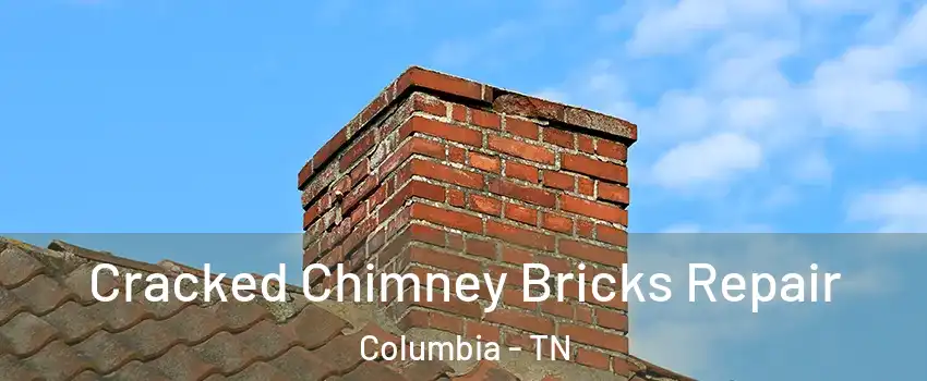  Cracked Chimney Bricks Repair Columbia - TN