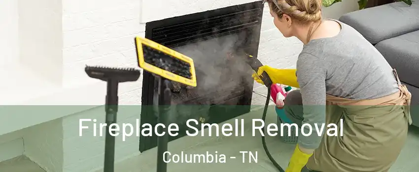  Fireplace Smell Removal Columbia - TN