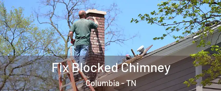 Fix Blocked Chimney Columbia - TN
