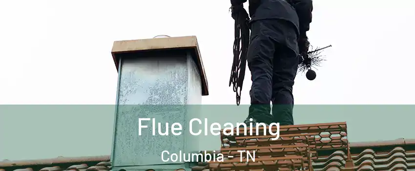  Flue Cleaning Columbia - TN