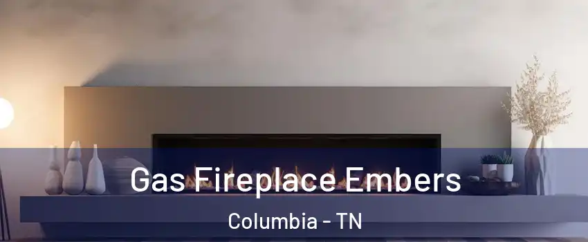  Gas Fireplace Embers Columbia - TN