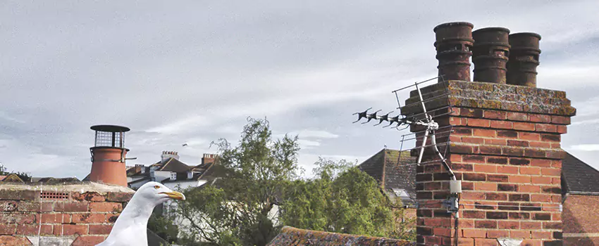 Chimney Cleaning And Restoration in Columbia, Tennessee