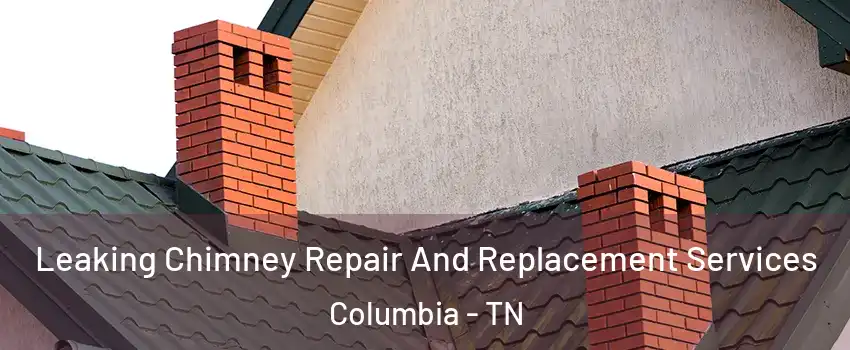  Leaking Chimney Repair And Replacement Services Columbia - TN